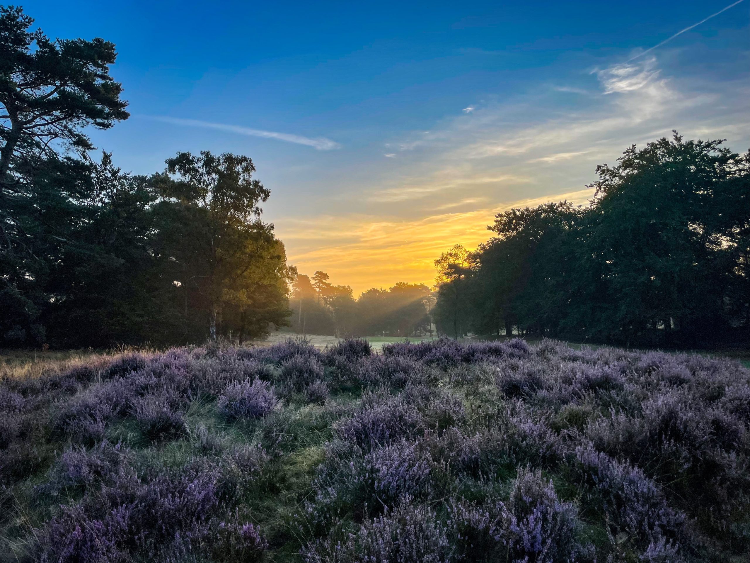Rosendaelsche Golfclub heide